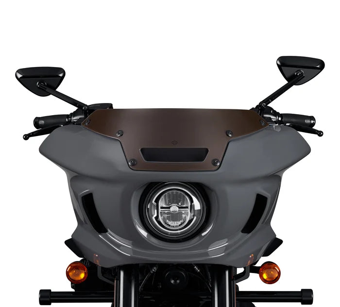 LOW RIDER ST SHORT WIND DEFLECTOR (ANARCHY GOLD)