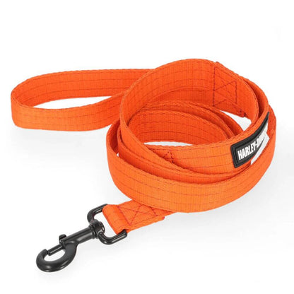 H-D NYLON LEASH - ORANGE